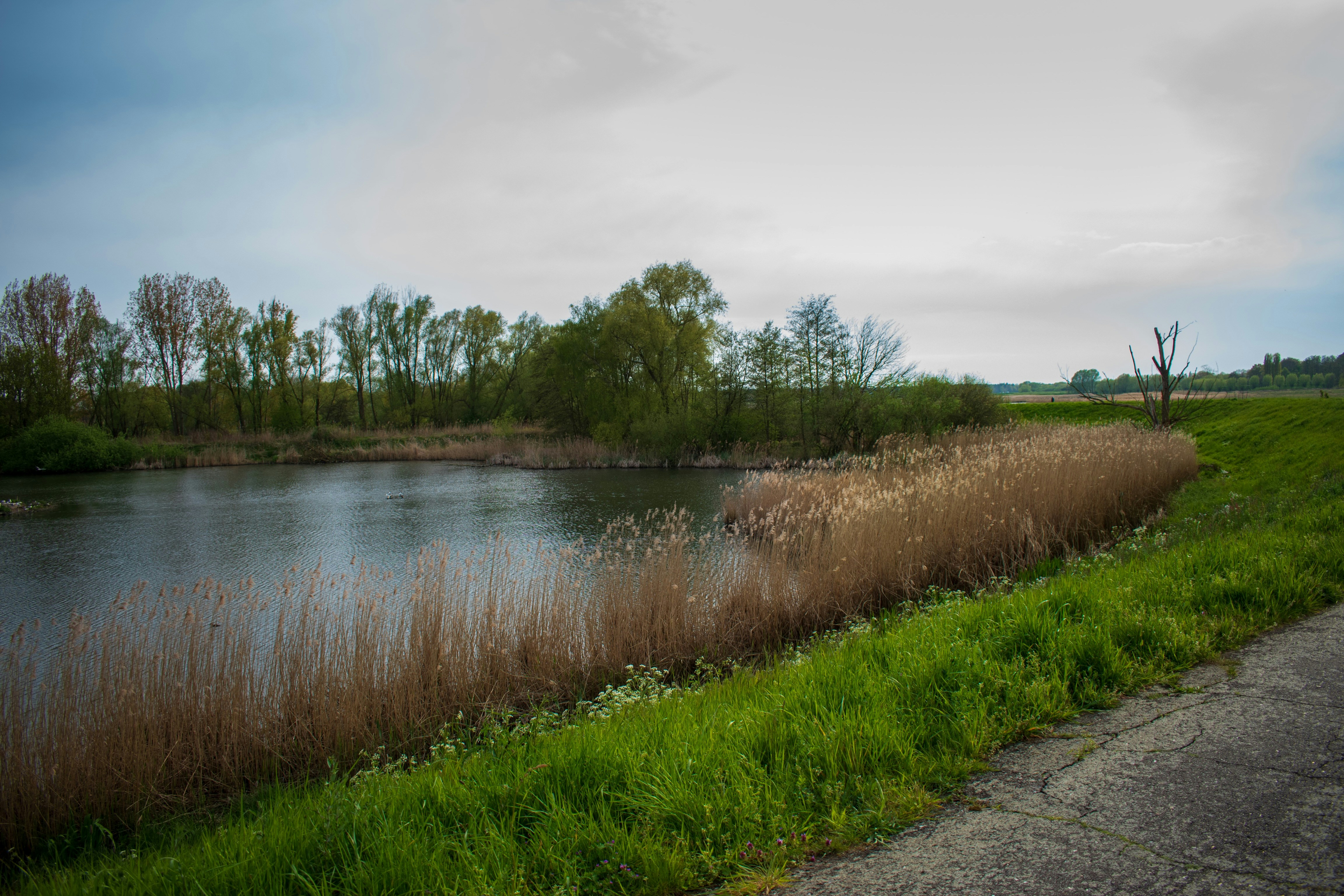 Photo by bo_schoonejans_photography