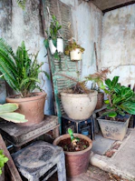 Outdoor garden scene showcasing a variety of premium metal pots arranged on a wooden bench.