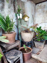 A cozy garden corner featuring potted plants in green and dusty rose pots.