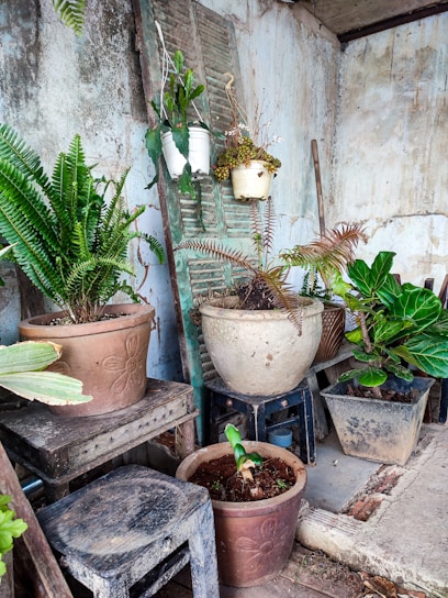 An outdoor garden scene showcasing durable, stylish plant pots arranged on a rustic wooden bench.