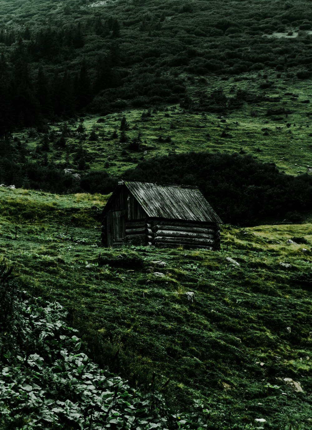 a small cabin in the middle of a grassy field