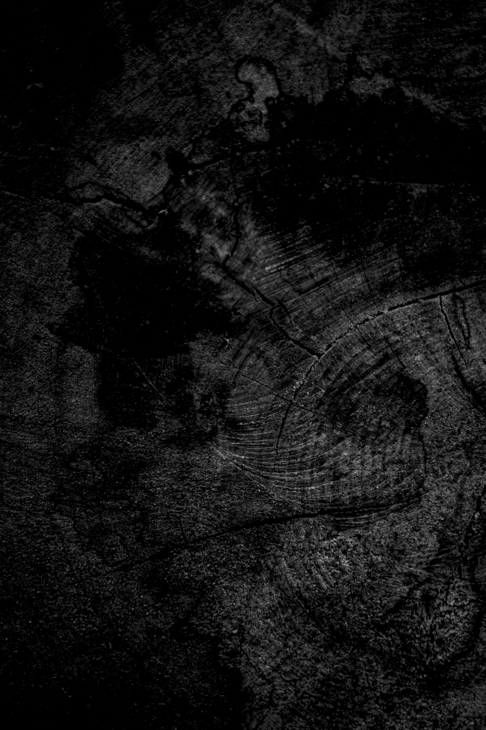 Photo by alexbeholder