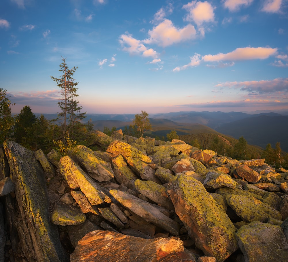 a view of a rocky mountain with trees in the distance