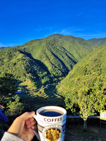 Close-up of hands holding freshly brewed Colombian coffee with vibrant mountain scenery in the background.