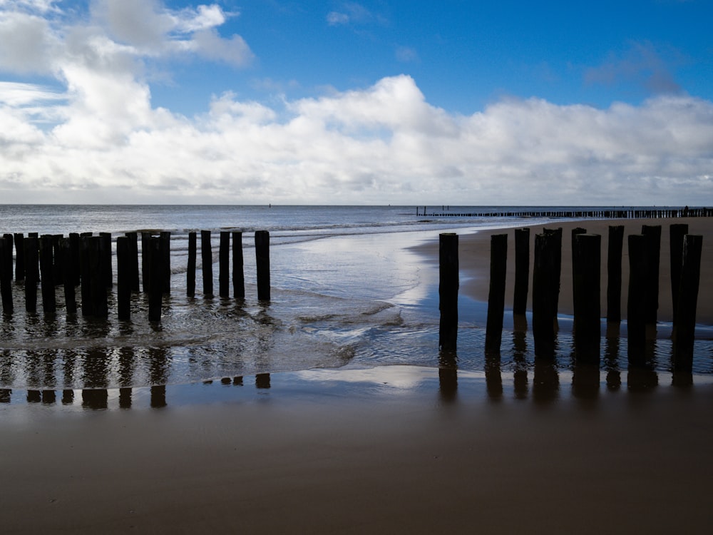 une plage qui a des poteaux qui sortent du sable