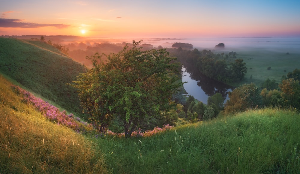 the sun is setting over a green valley