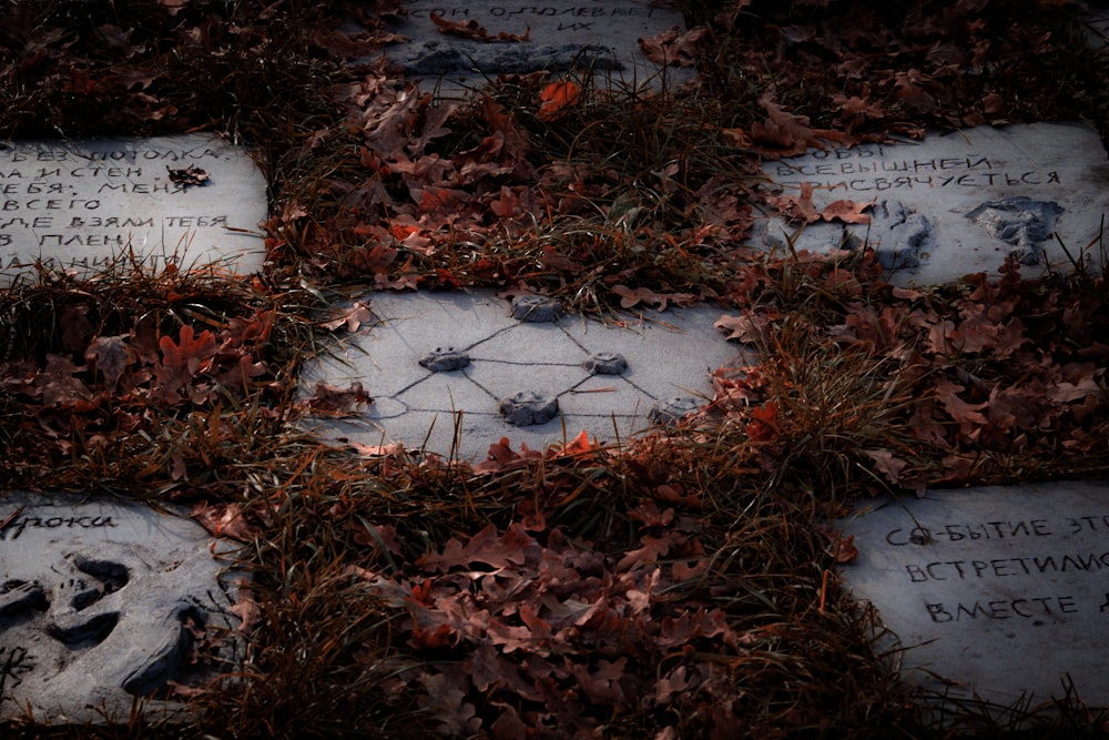 a group of headstones are surrounded by leaves