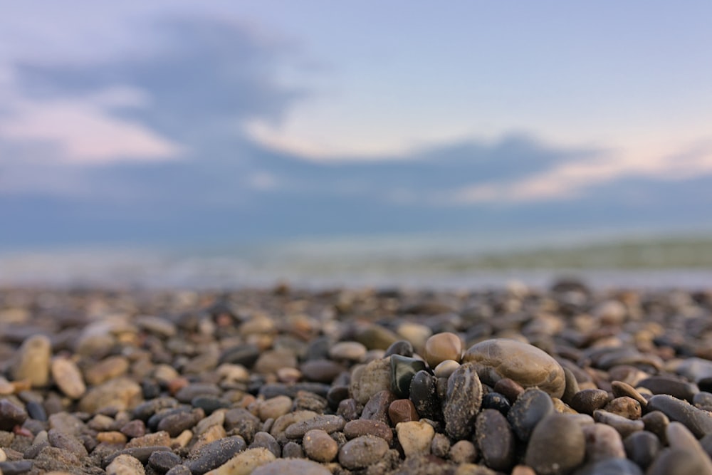 a bunch of rocks that are on a beach