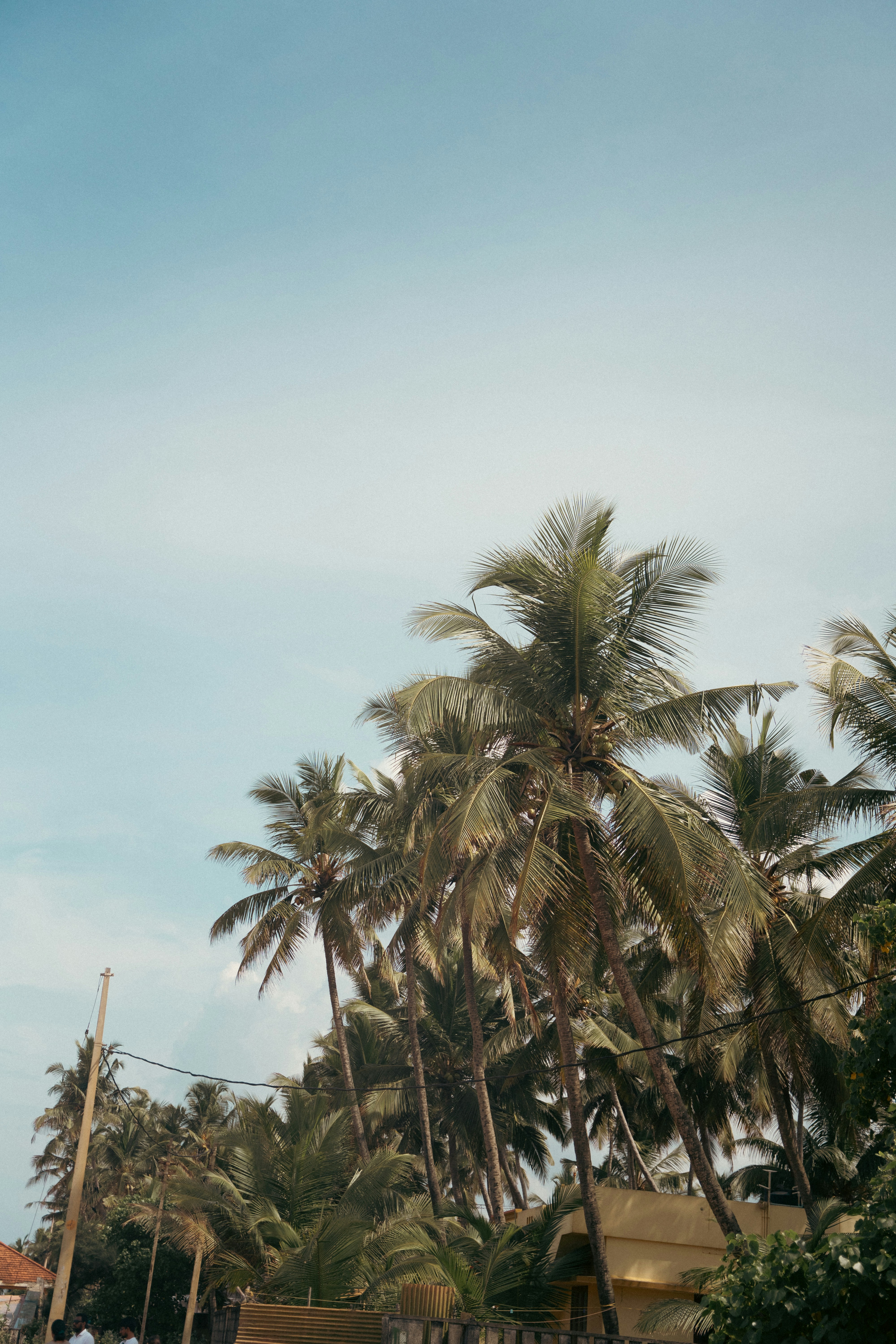 Photo by karthickgislen