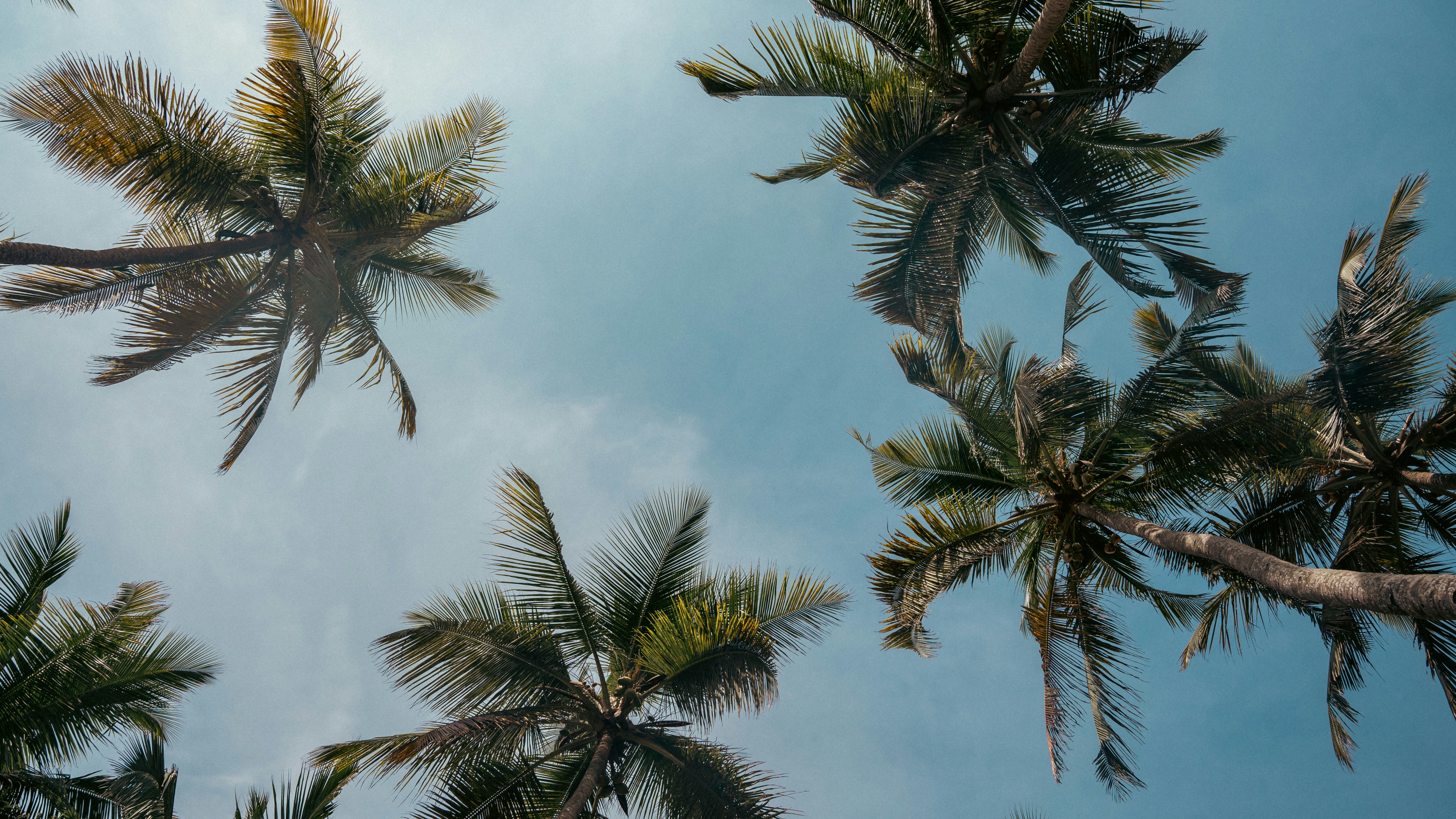 Photo by karthickgislen