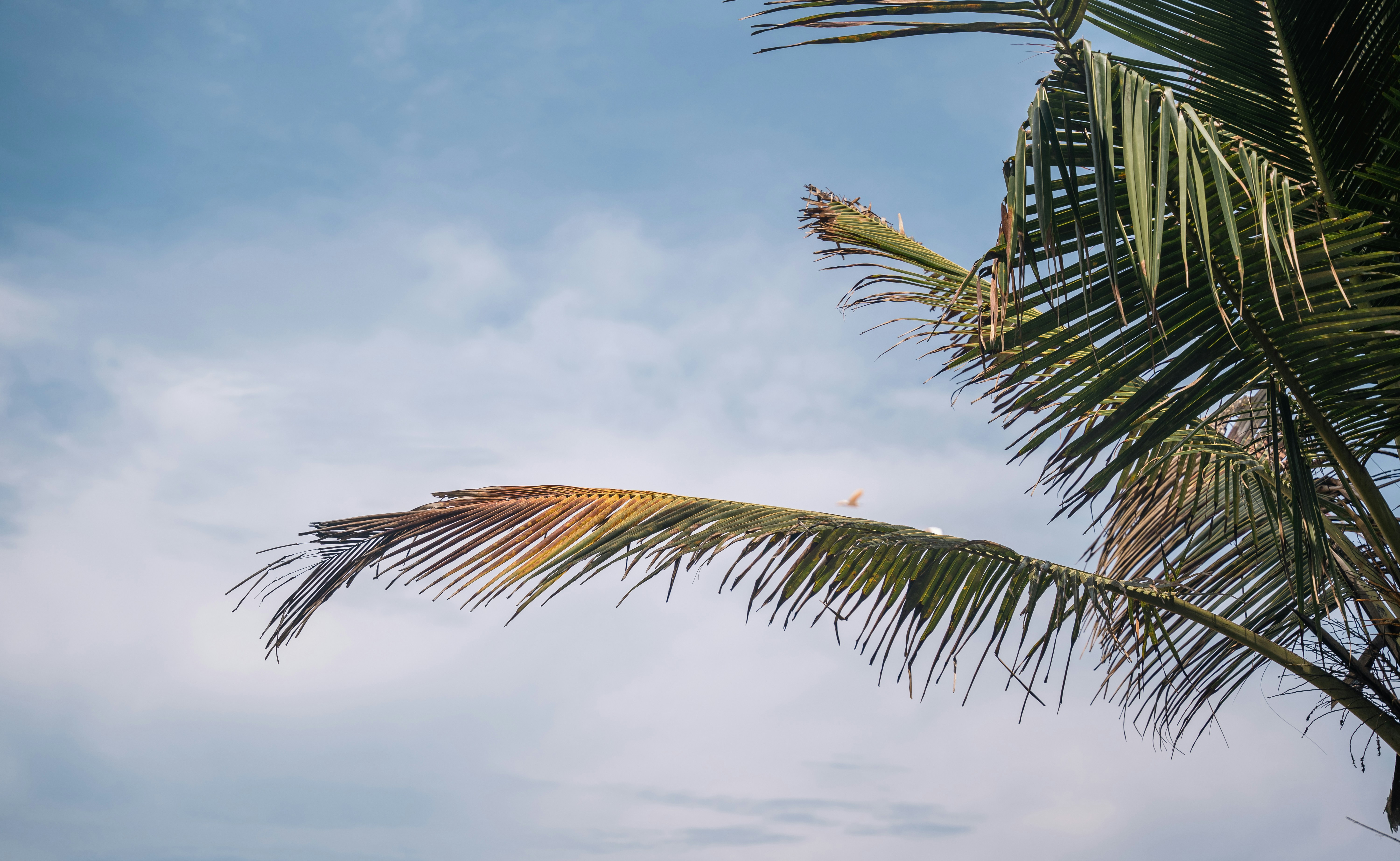 Photo by karthickgislen