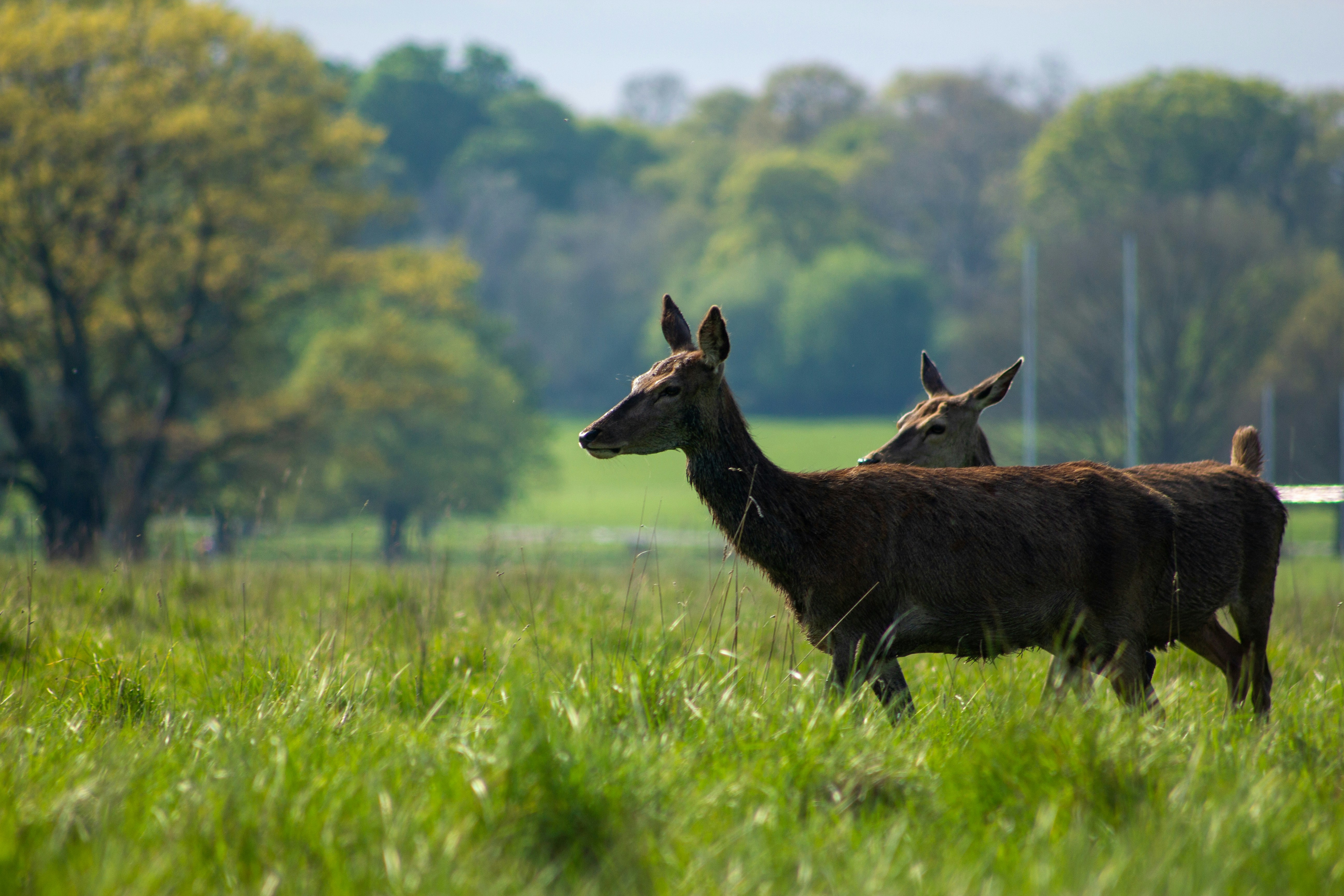 Photo by bfenton_photo