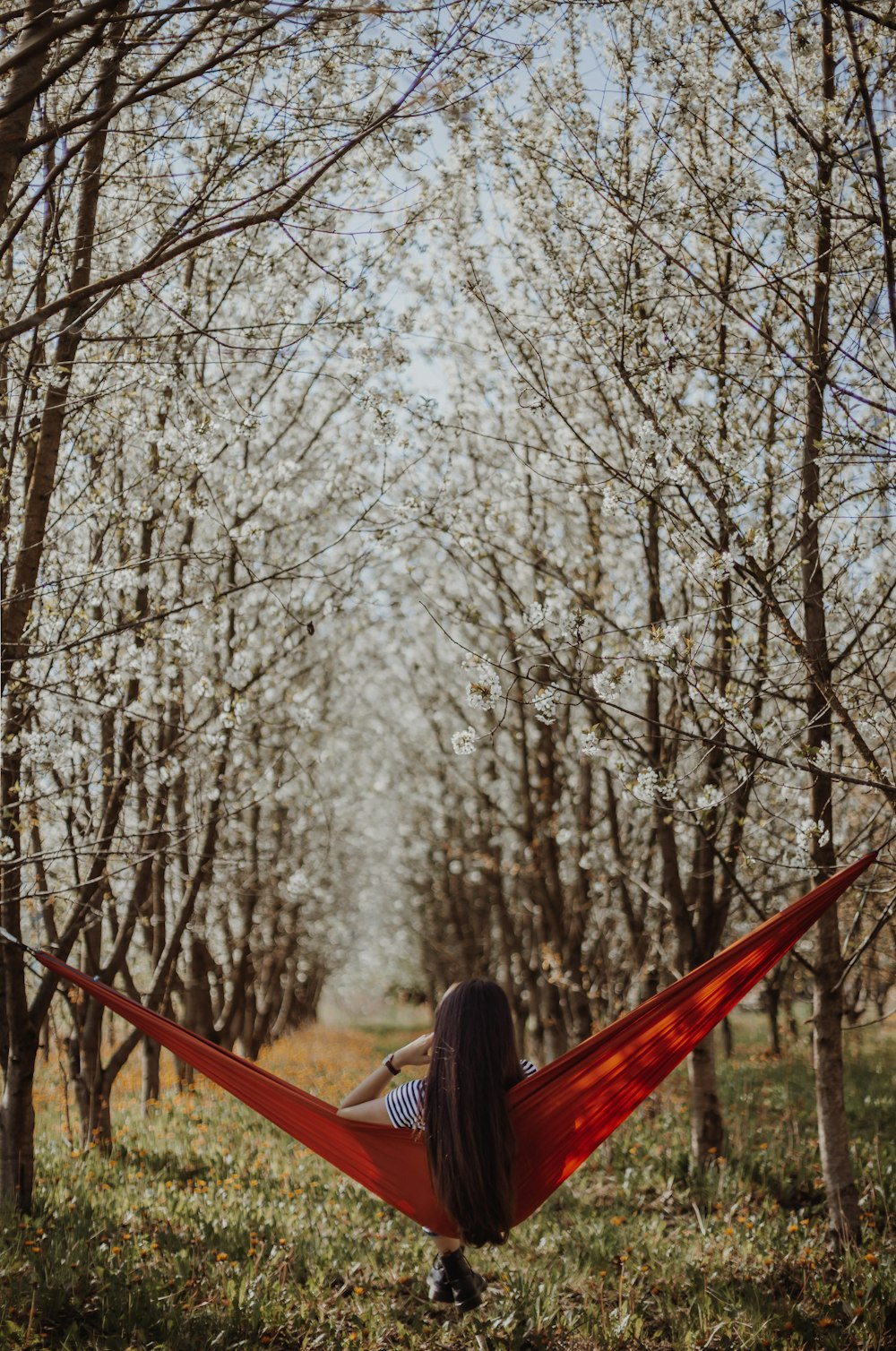 a woman sitting in a hammock in a forest