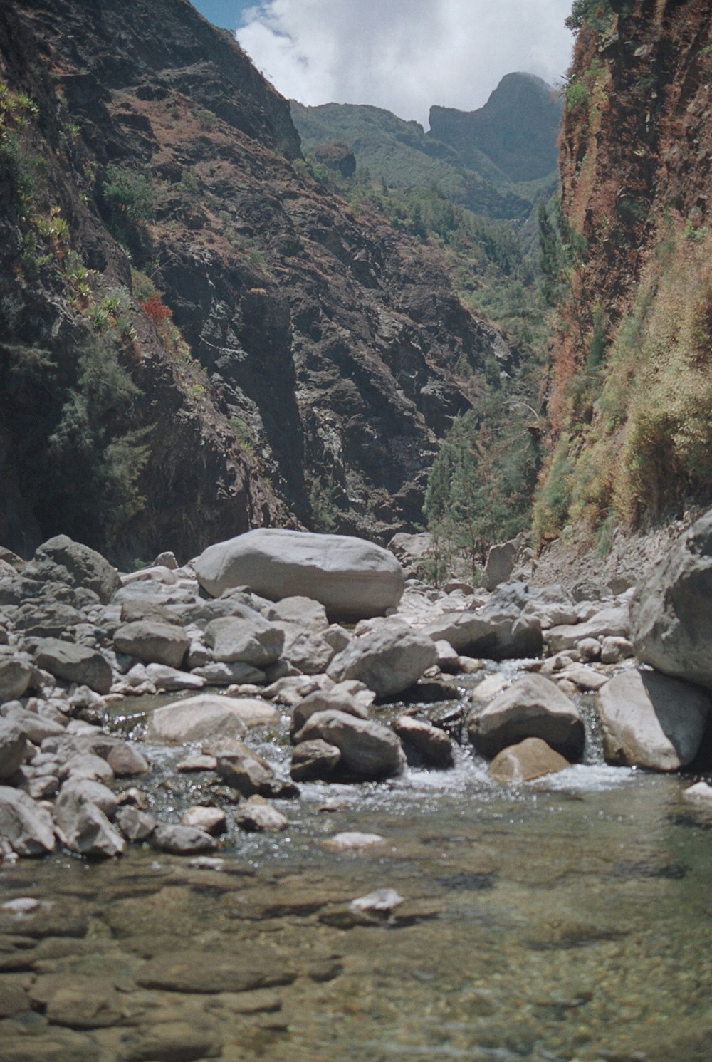 a stream running through a rocky canyon with mountains in the background