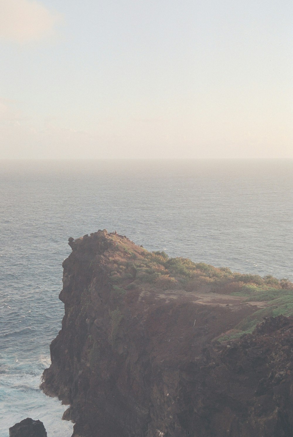 a couple of sheep standing on top of a cliff next to the ocean