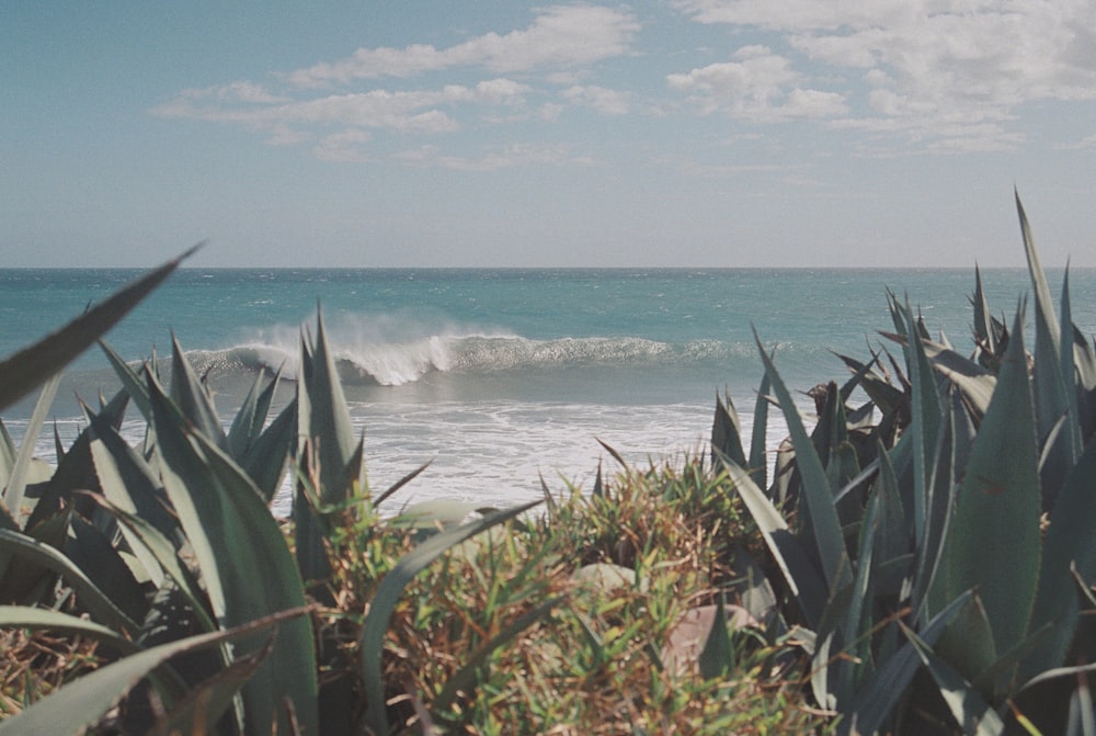 a view of the ocean with a wave coming in