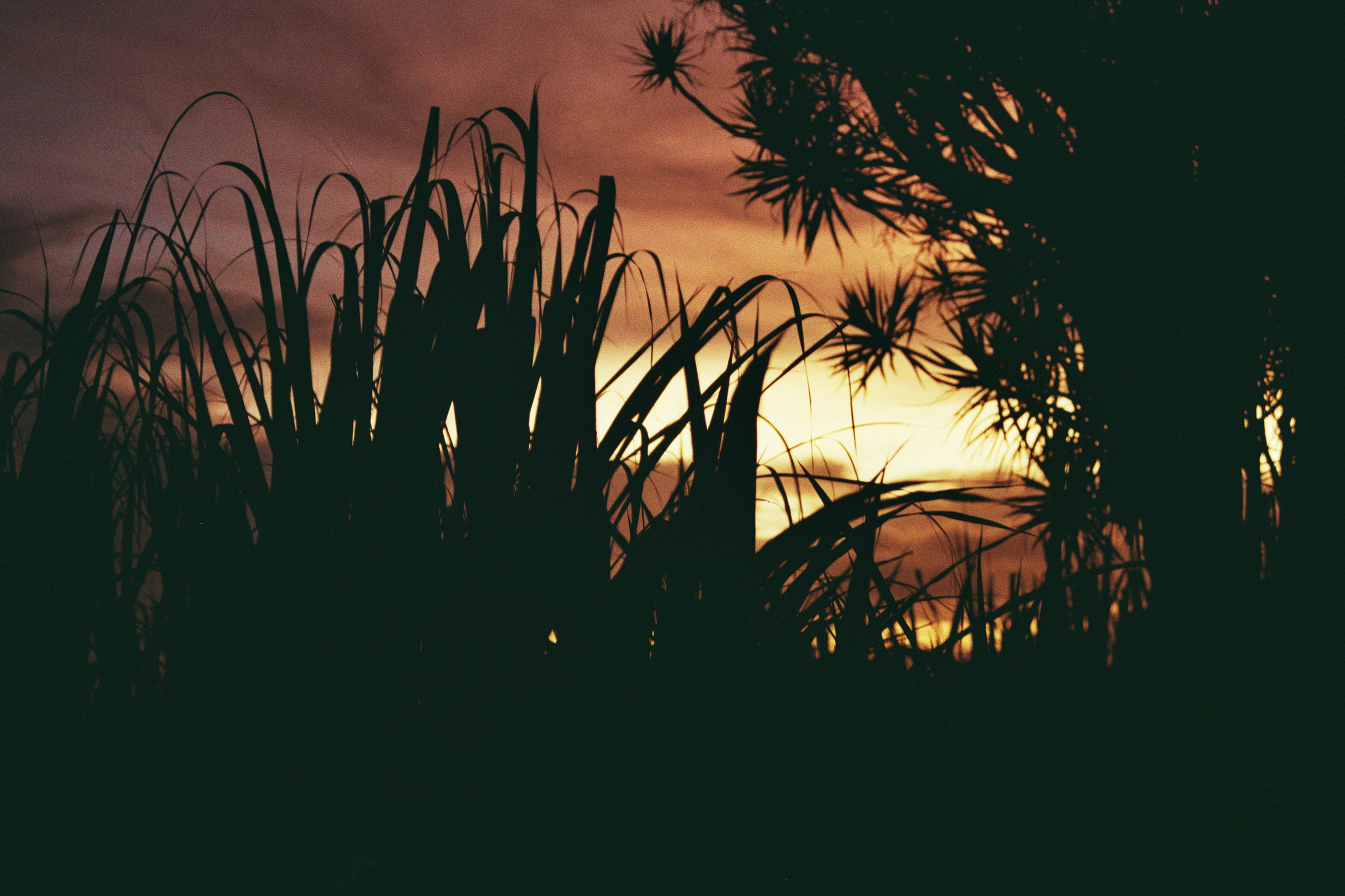 Photo by makewithjames