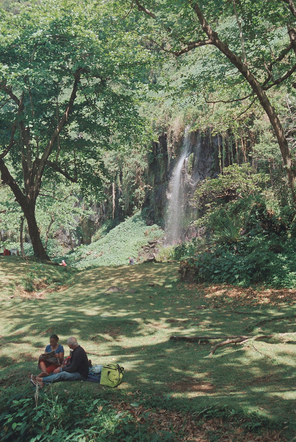 a couple of people sitting on top of a lush green field