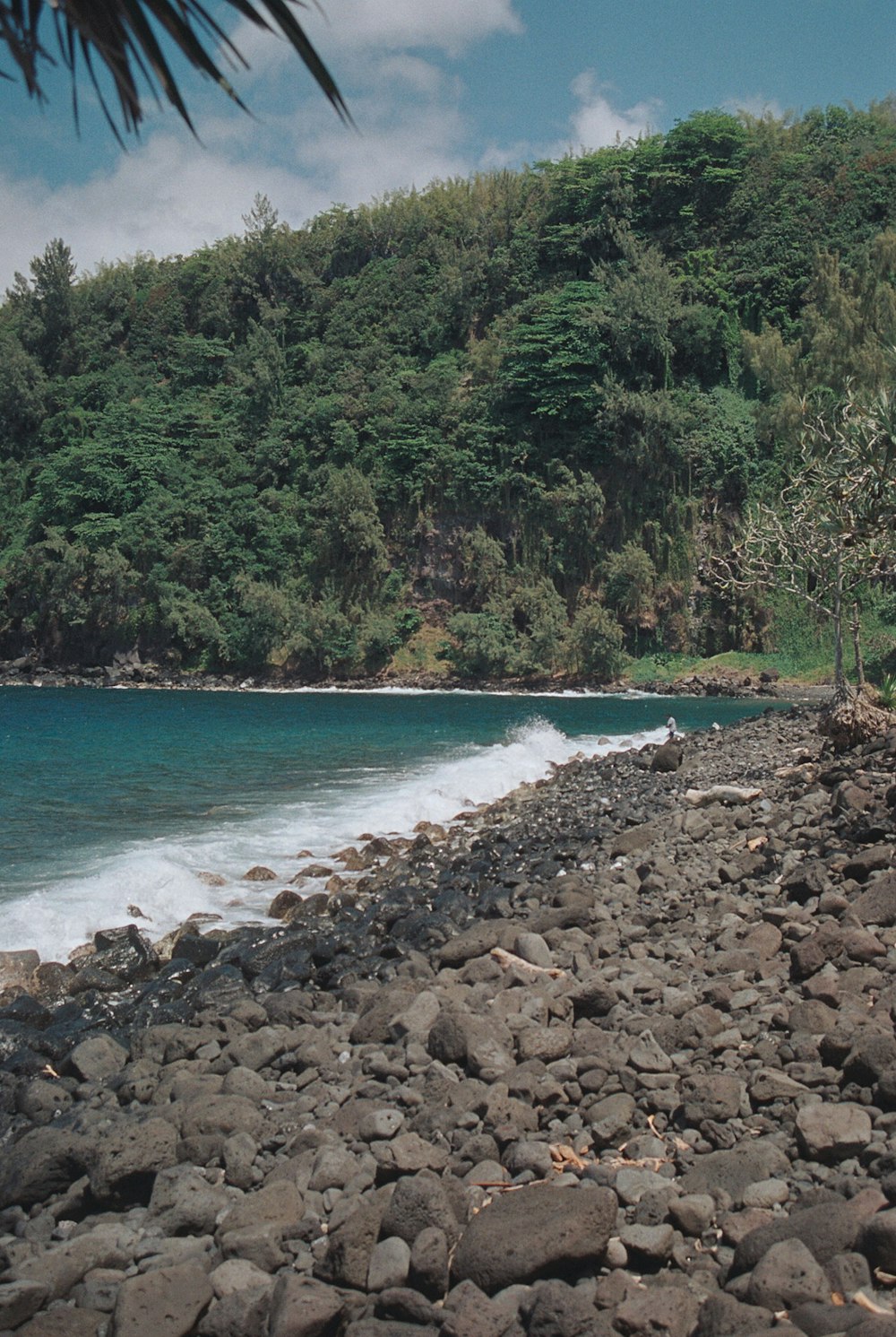 a man riding a surfboard on top of a rocky beach