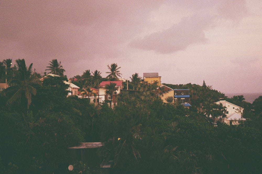 a view of a city with a lot of trees