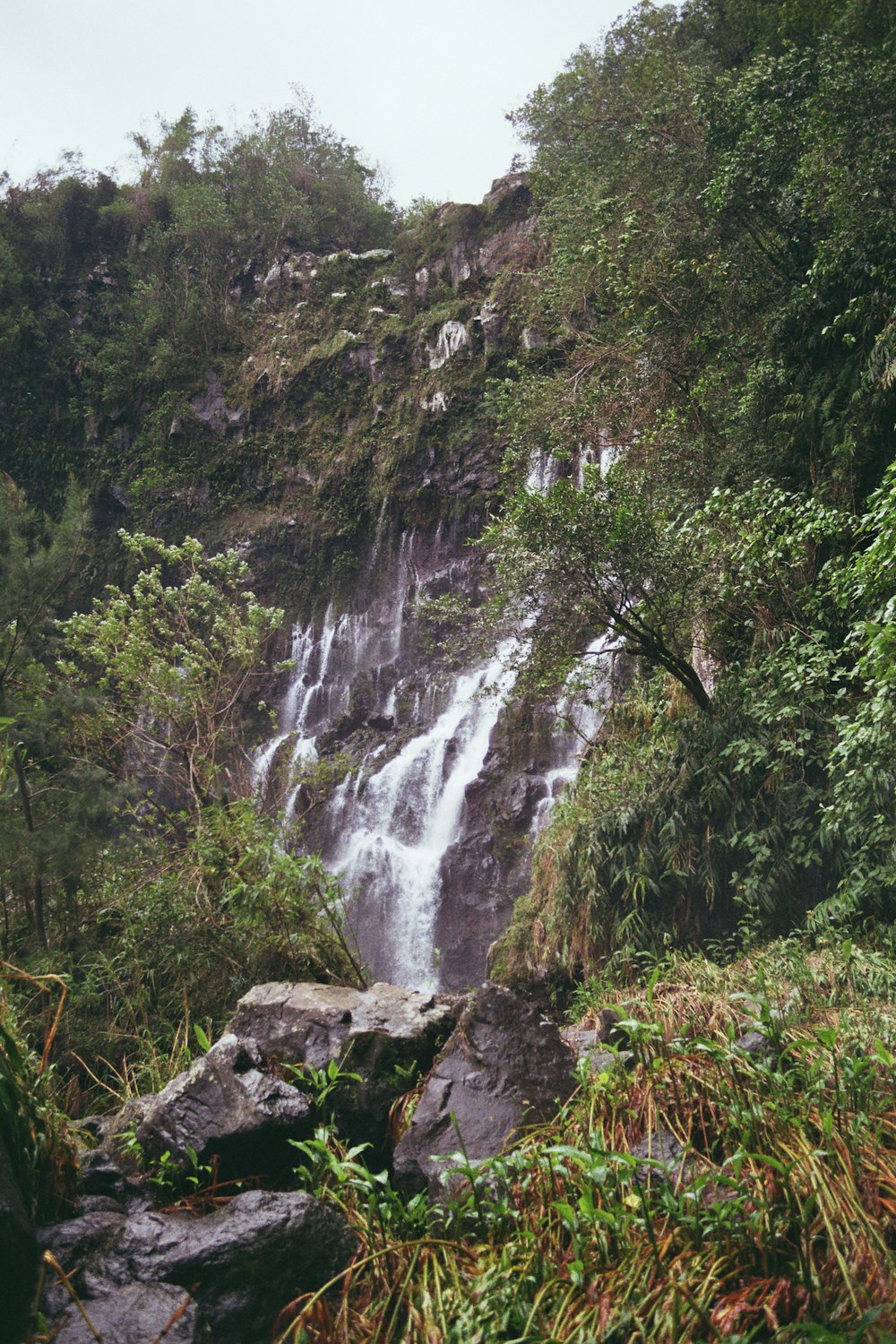 Une grande cascade au milieu d’une forêt