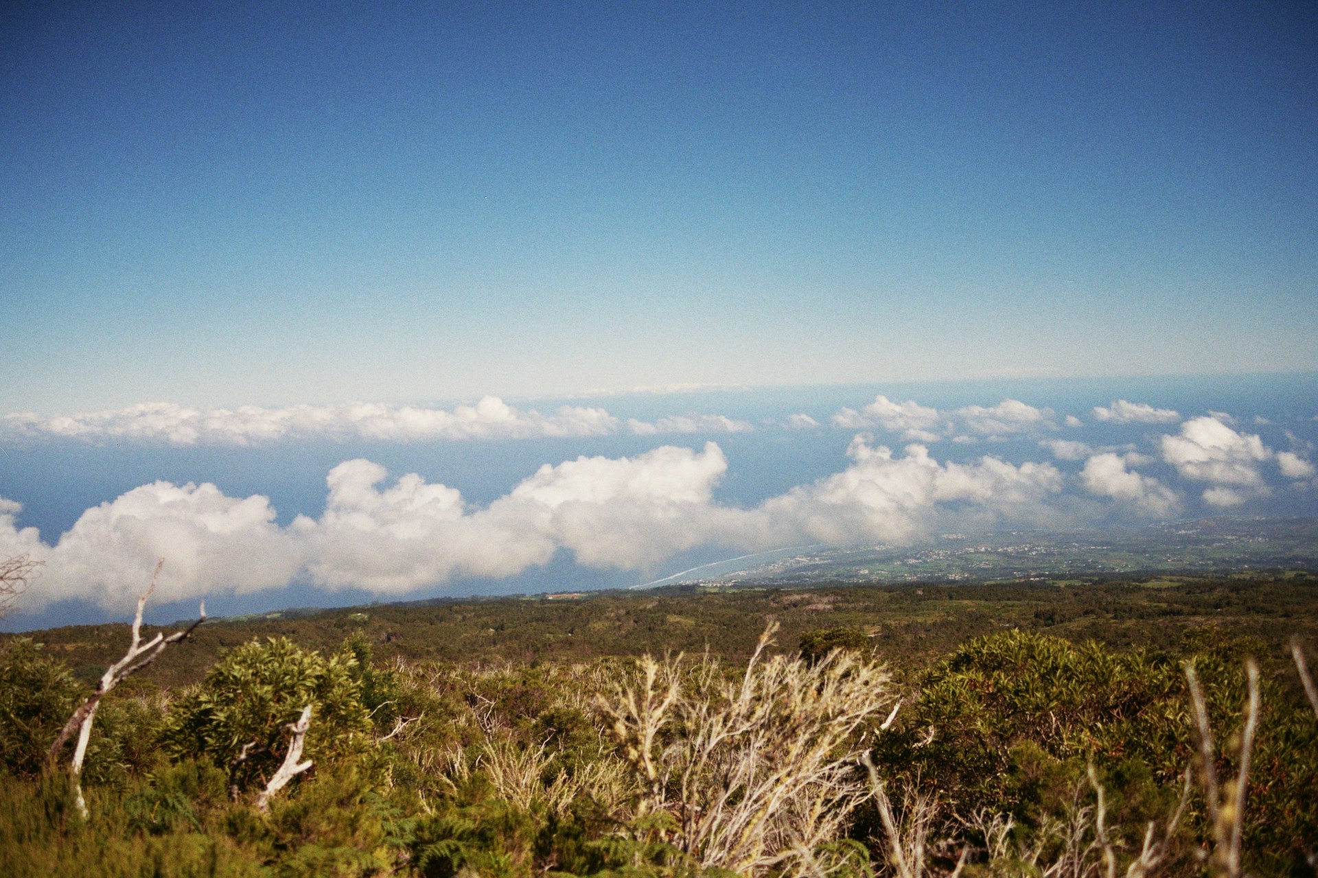 Classic Reunion Island