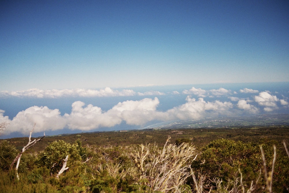 a view of the clouds from a high point of view