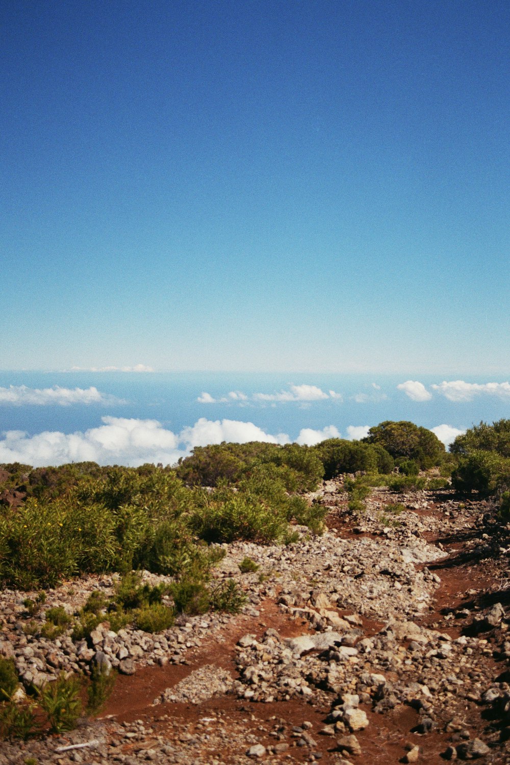 Un sendero rocoso en la cima de una montaña