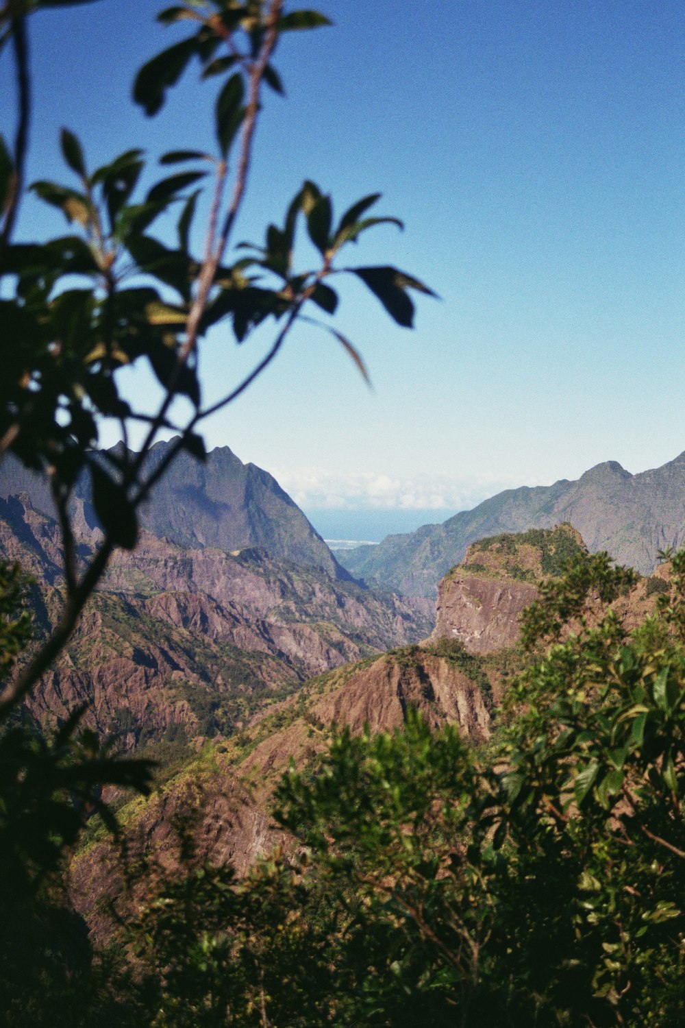 a view of a mountain range with trees in the foreground