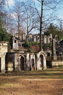 A cemetery scene with ornate stone tombs and mausoleums surrounded by tall leafless trees. The structures show signs of aging, with some walls covered in vines. There is a grassy and dirt foreground with scattered leaves, creating a serene but slightly somber atmosphere.