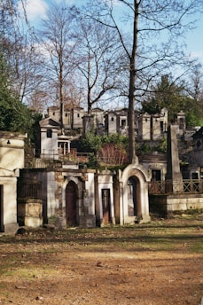 A cemetery scene with ornate stone tombs and mausoleums surrounded by tall leafless trees. The structures show signs of aging, with some walls covered in vines. There is a grassy and dirt foreground with scattered leaves, creating a serene but slightly somber atmosphere.