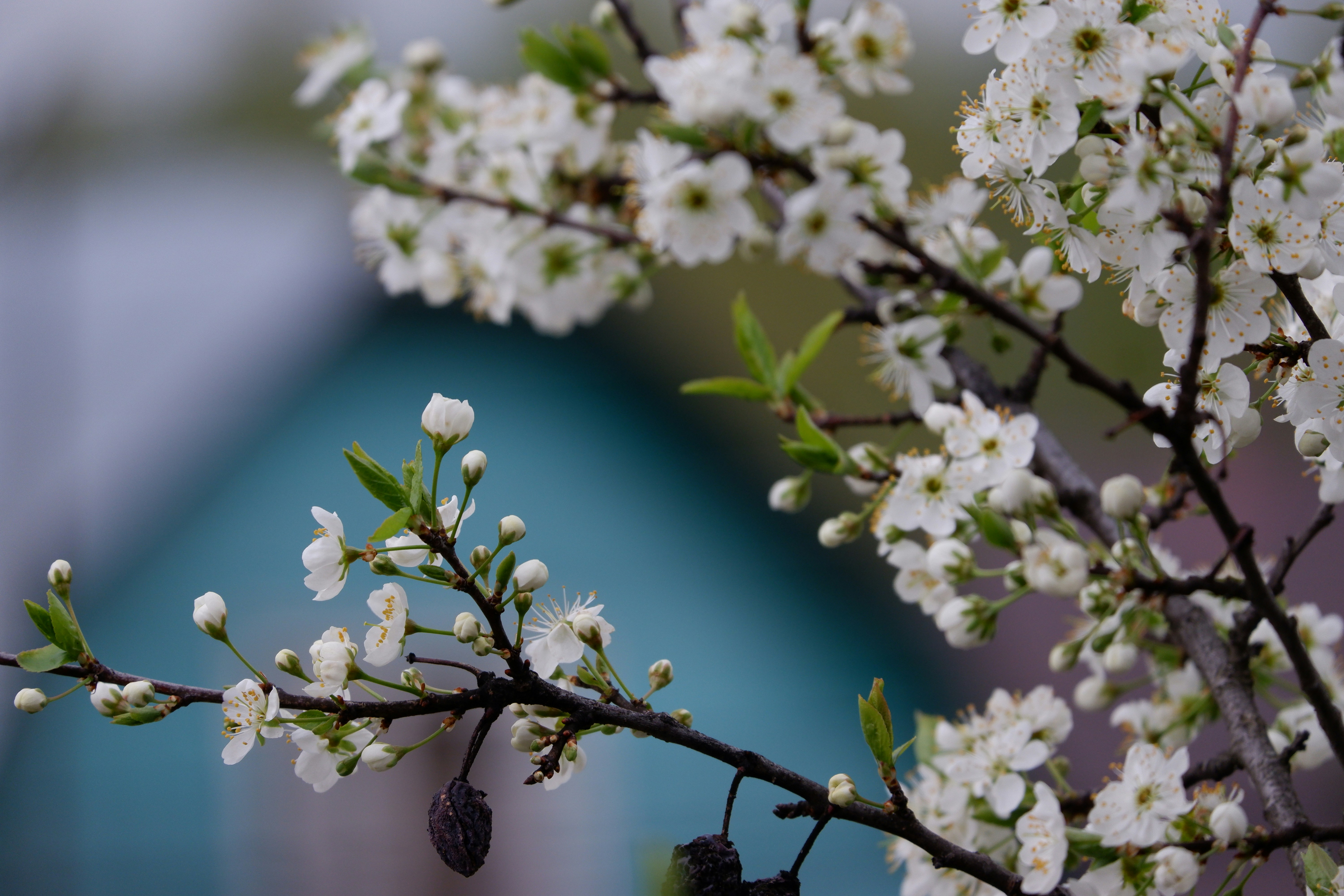 Photo by j_braytseva