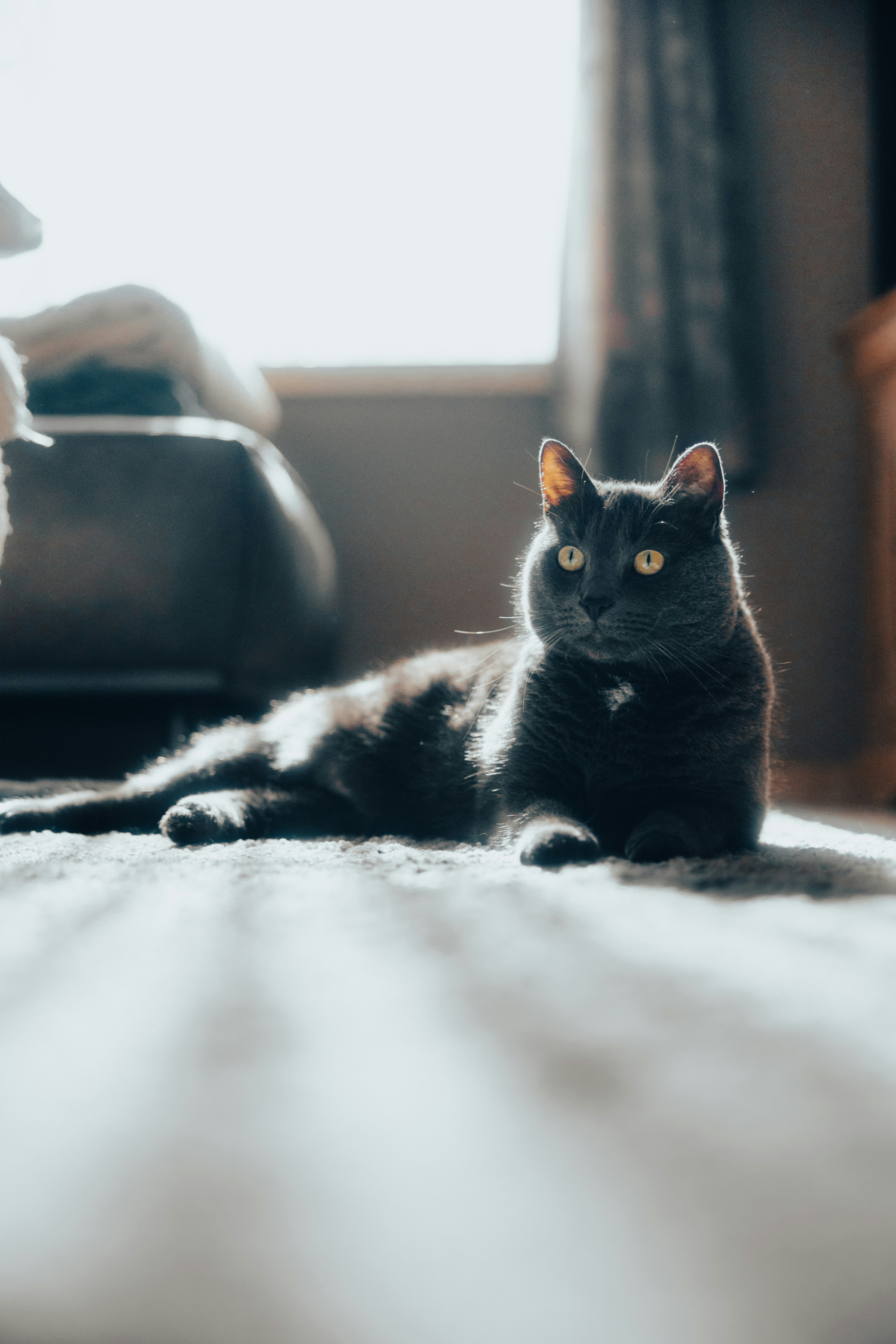 Photo by lorenzohamers