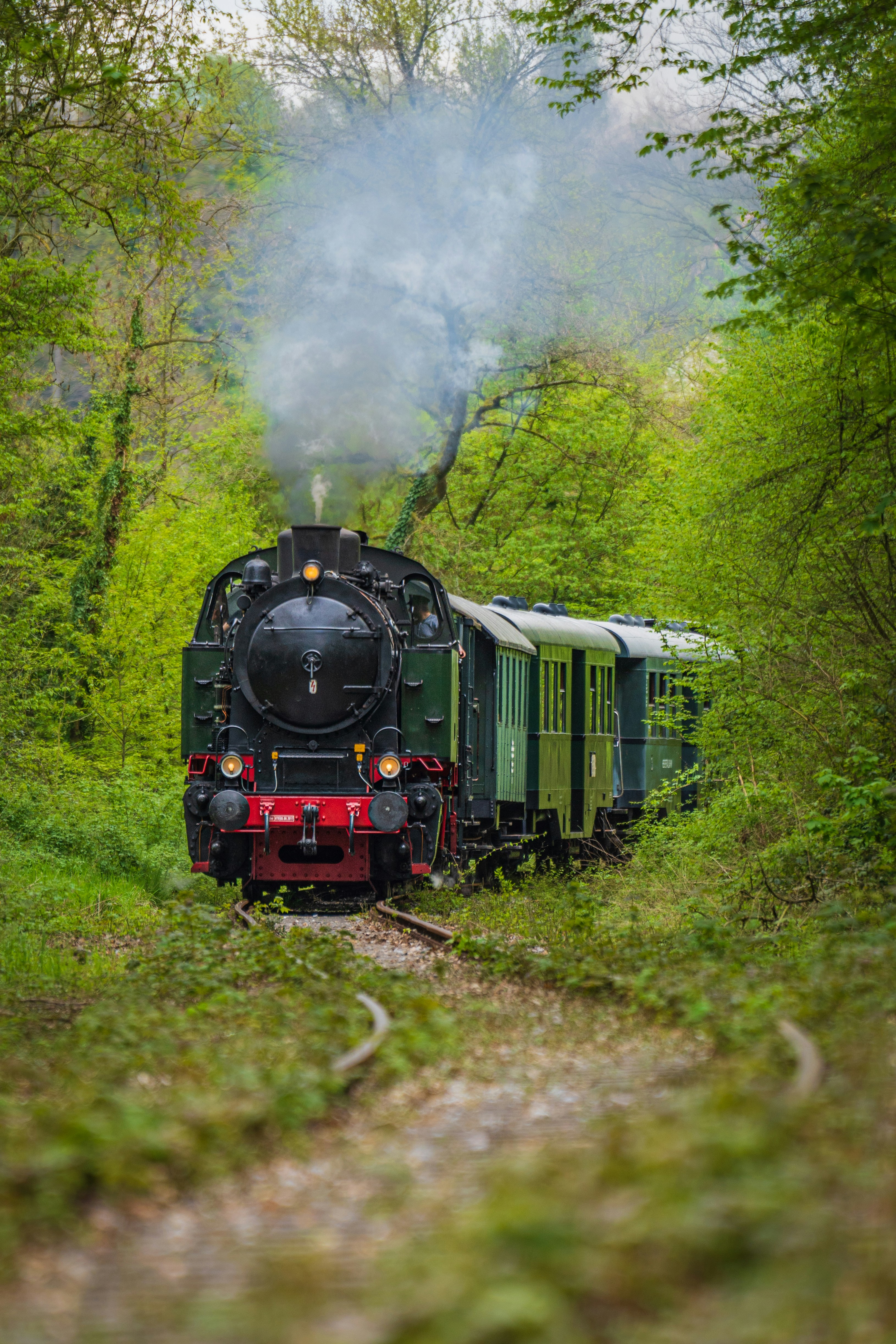 Photo by dmaxsilencer