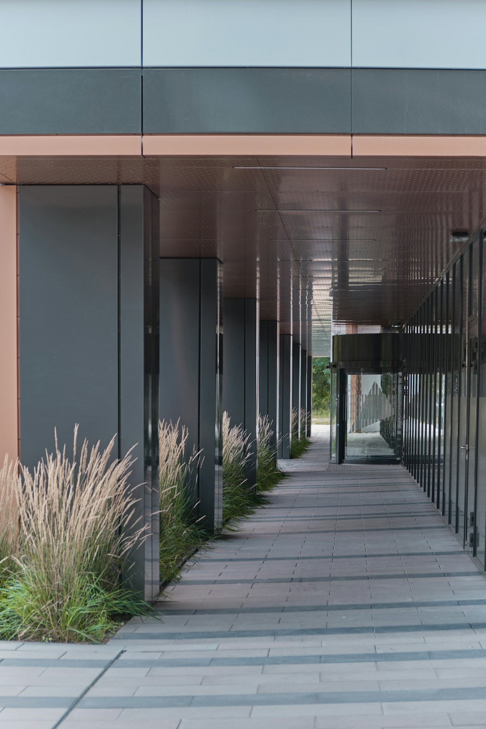 a long walkway lined with tall grass next to a building