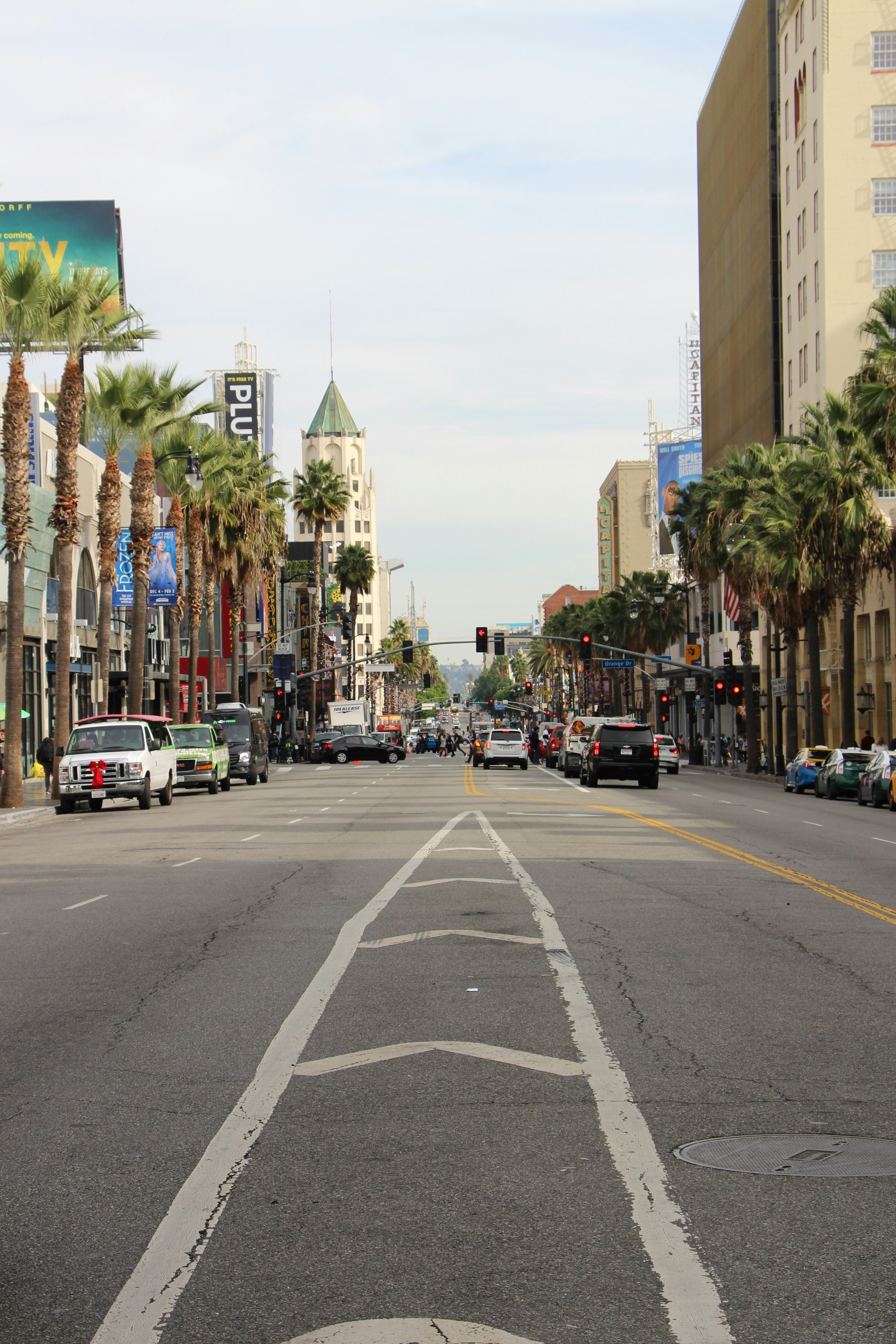 a city street with palm trees on both sides