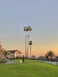 A serene landscape featuring a well-maintained green lawn leading up to a charming house with a stone and wood exterior. Two tall palm trees stand prominently against a soft, pastel-colored evening sky. People can be seen enjoying the view from a path, along with a person walking their dog on the grass.
