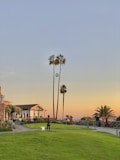 A serene landscape featuring a well-maintained green lawn leading up to a charming house with a stone and wood exterior. Two tall palm trees stand prominently against a soft, pastel-colored evening sky. People can be seen enjoying the view from a path, along with a person walking their dog on the grass.