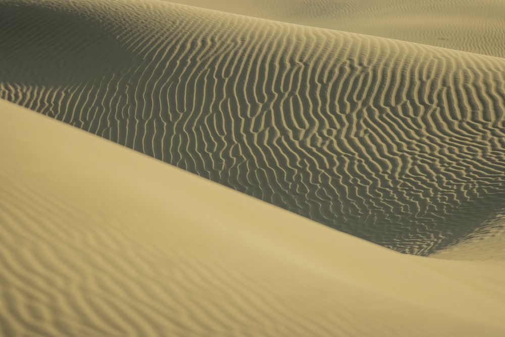 a sand dune in the middle of a desert