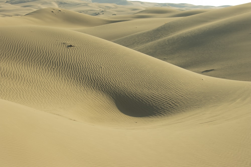 a large group of sand dunes in the desert