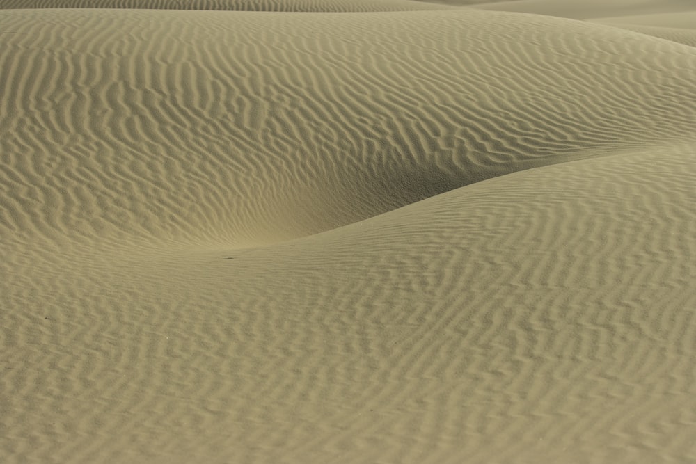 a large sandy area with a few trees in the distance