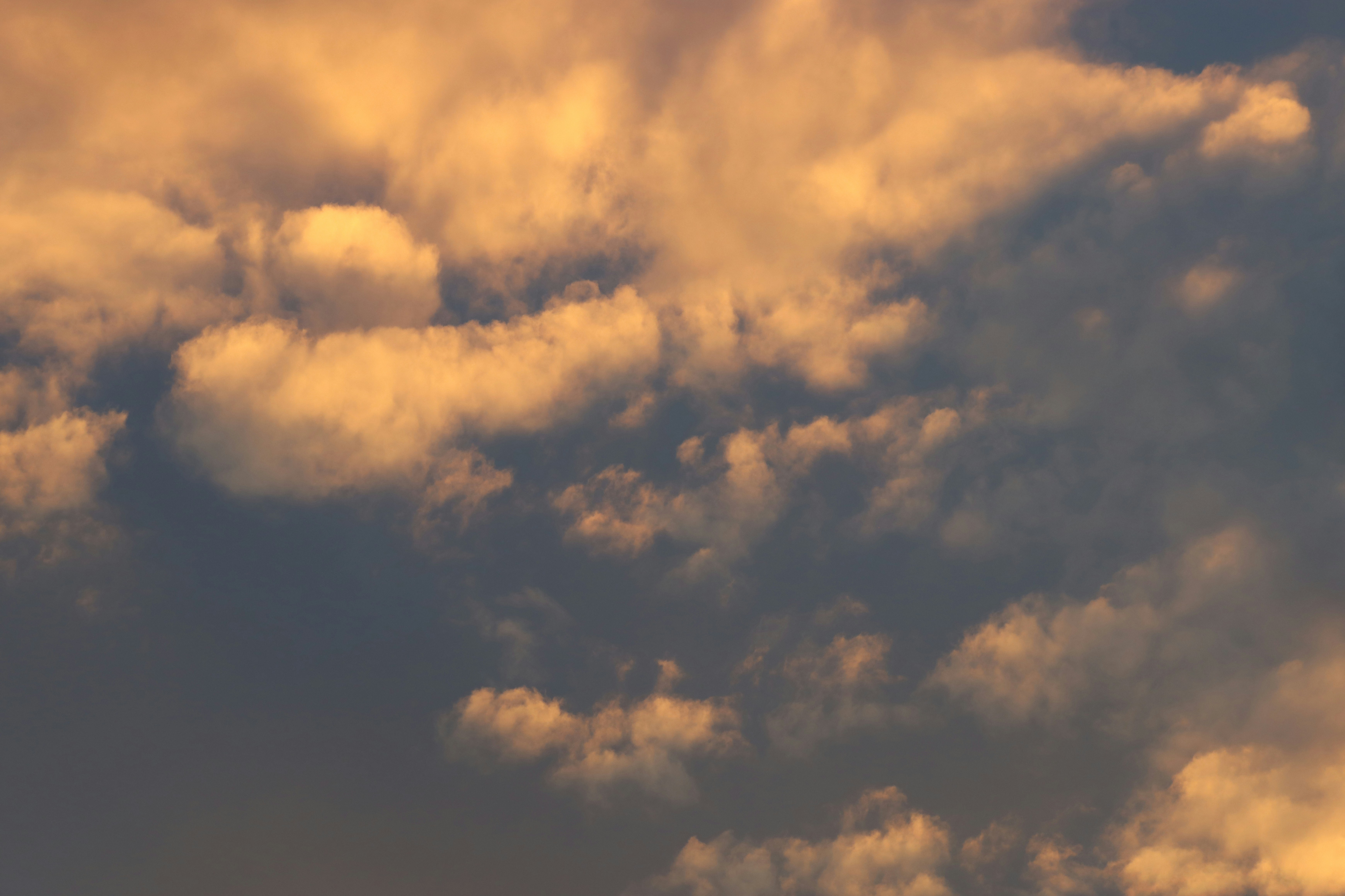 Photo by shotsby_nadira