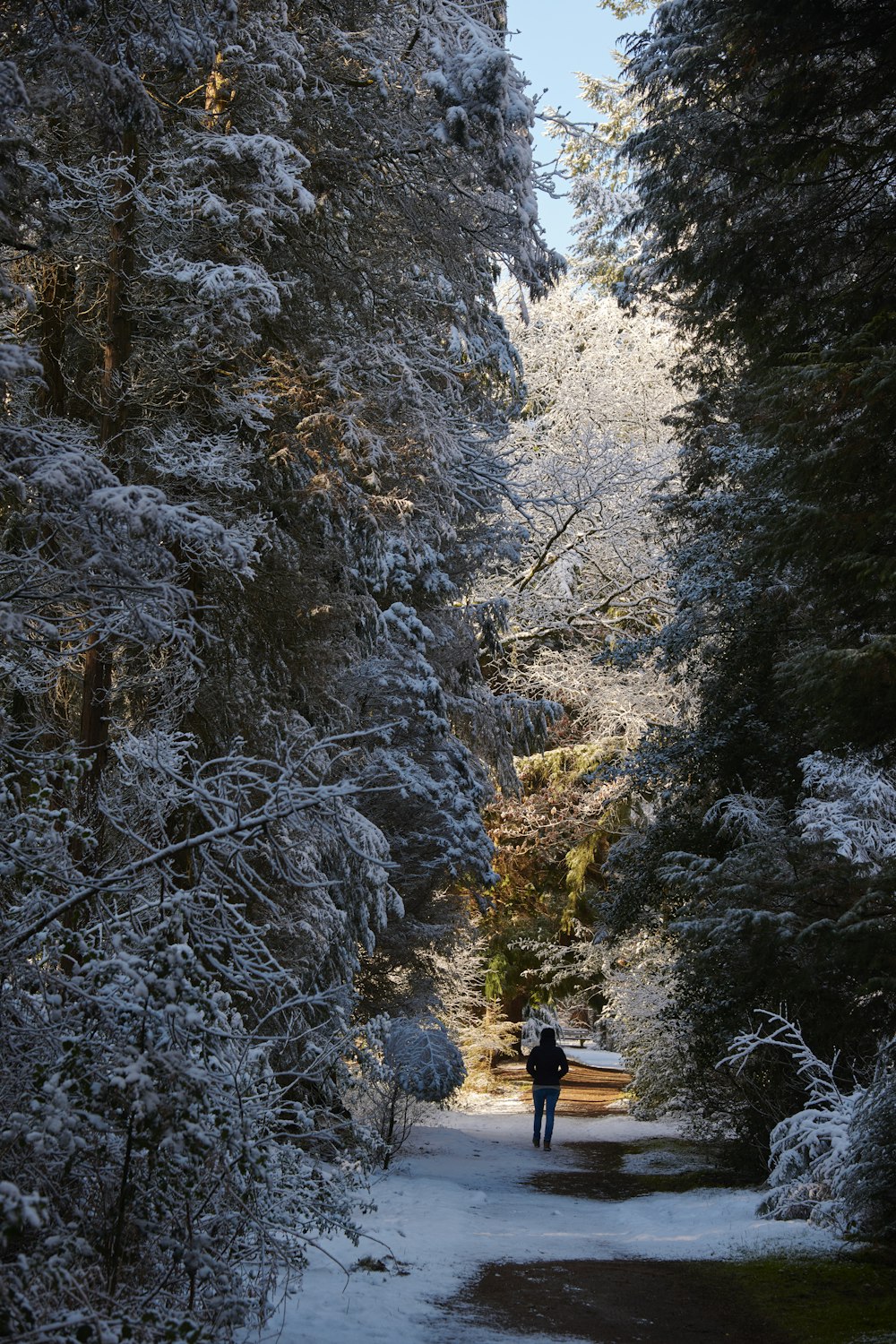 a person walking down a snow covered path