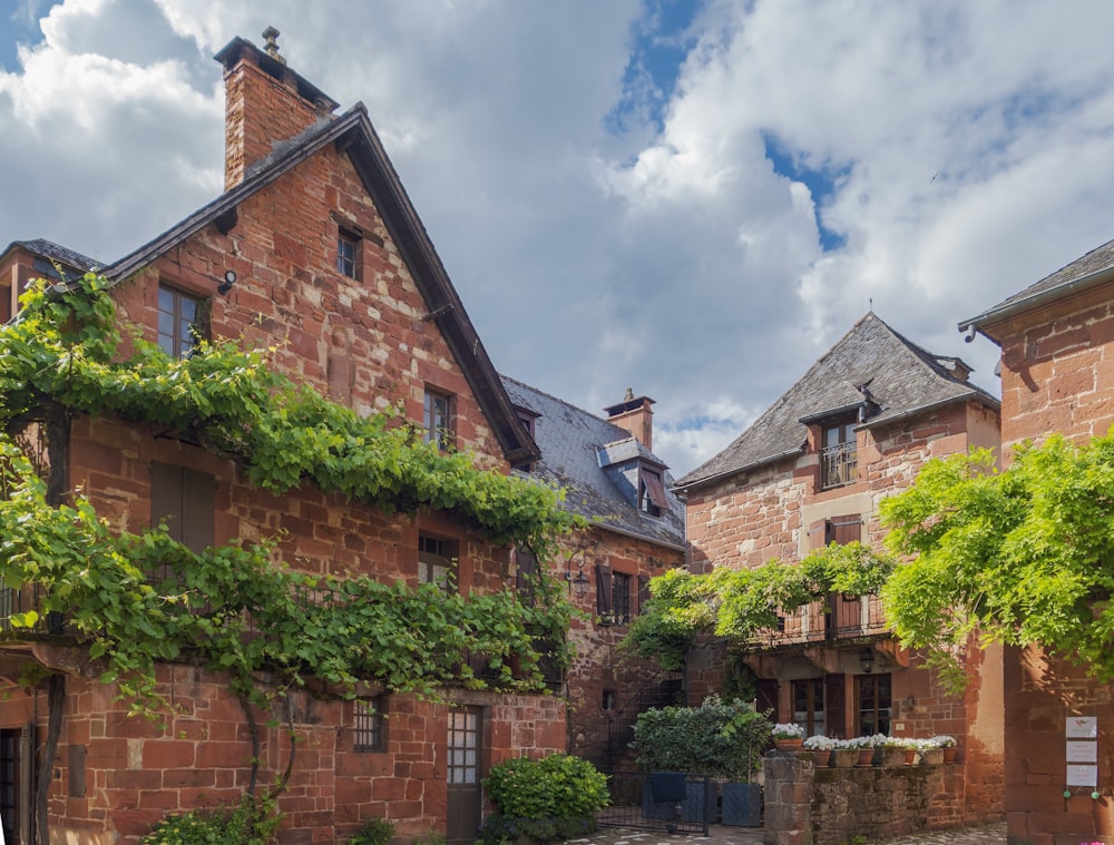 a brick building with vines growing on the side of it