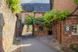 A quiet village path in the Luberon with subtle paintings installed along the way.