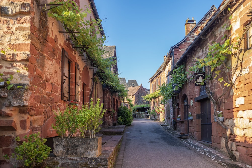 a narrow street lined with brick buildings with vines growing on them