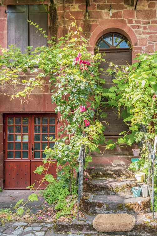 a building with a bunch of flowers growing on it
