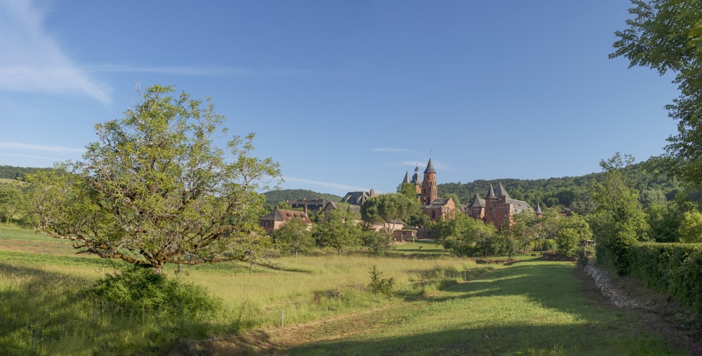 a grassy field with a church in the background