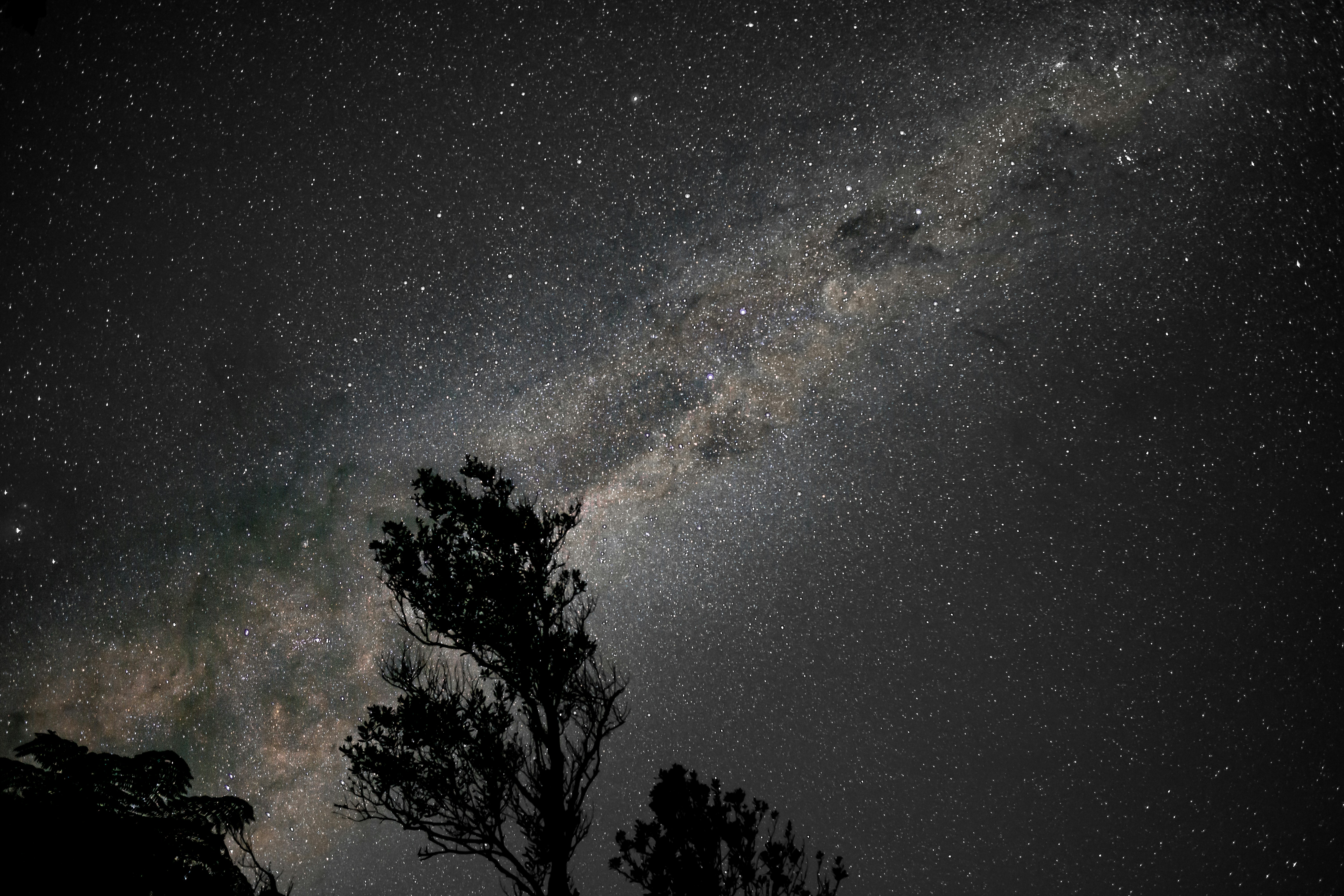 Photo by nature_photography_by_luca