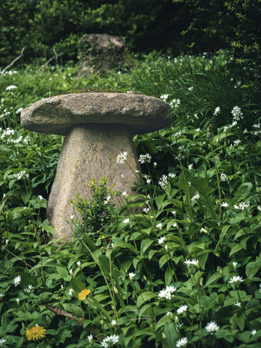 a stone bench sitting in the middle of a lush green field